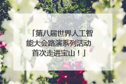 第八届世界人工智能大会路演系列活动首次走进宝山！