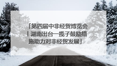 第四届中非经贸博览会丨湖南出台一揽子鼓励措施助力对非经贸发展