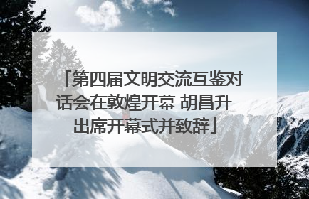 第四届文明交流互鉴对话会在敦煌开幕 胡昌升出席开幕式并致辞