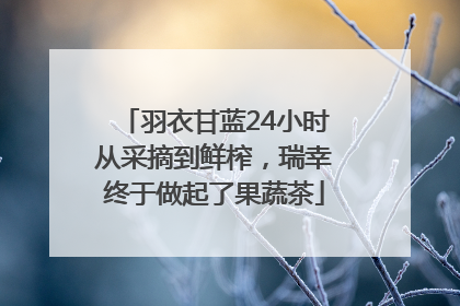 羽衣甘蓝24小时从采摘到鲜榨，瑞幸终于做起了果蔬茶