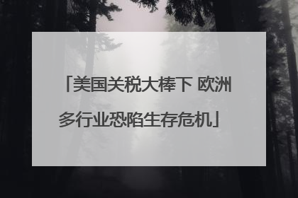 美国关税大棒下 欧洲多行业恐陷生存危机