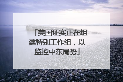 美国证实正在组建特别工作组，以监控中东局势
