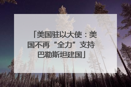 美国驻以大使：美国不再“全力”支持巴勒斯坦建国