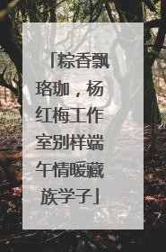 粽香飘珞珈，杨红梅工作室别样端午情暖藏族学子