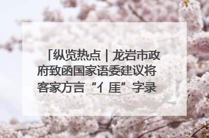 纵览热点｜龙岩市政府致函国家语委建议将客家方言“亻厓”字录入《新华字典》引发热议，当地回应