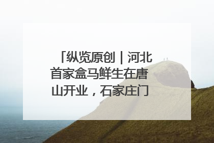 纵览原创｜河北首家盒马鲜生在唐山开业，石家庄门店预计8月开业