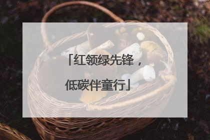红领绿先锋，低碳伴童行