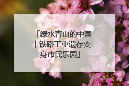 绿水青山的中国丨铁路工业遗存变身市民乐园