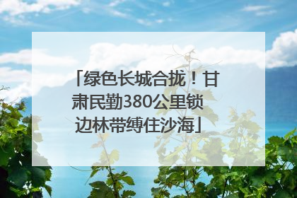 绿色长城合拢！甘肃民勤380公里锁边林带缚住沙海