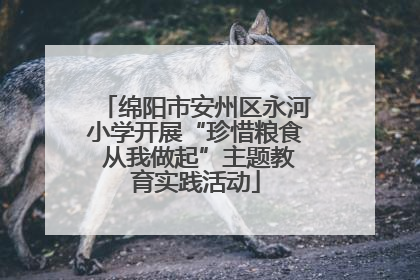 绵阳市安州区永河小学开展“珍惜粮食 从我做起”主题教育实践活动