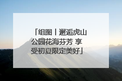 组图丨邂逅虎山公园花海芬芳 享受初夏限定美好