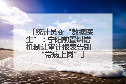 统计员变“数据医生”：宁阳前置纠错机制让审计报表告别“带病上岗”