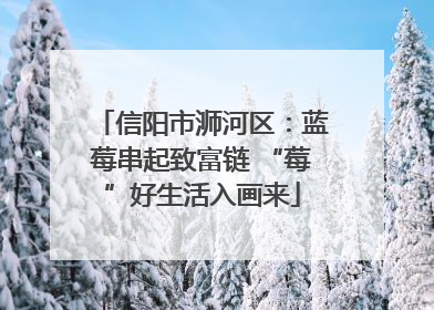 信阳市浉河区：蓝莓串起致富链 “莓”好生活入画来