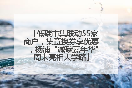 低碳市集联动55家商户，集章换券享优惠，杨浦“减碳嘉年华”周末亮相大学路
