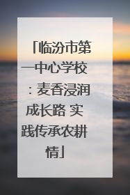 临汾市第一中心学校：麦香浸润成长路 实践传承农耕情