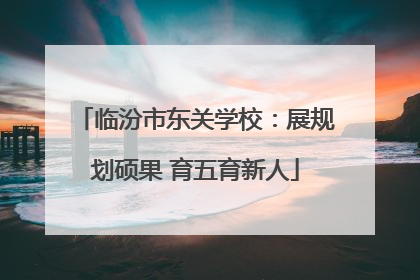 临汾市东关学校：展规划硕果 育五育新人