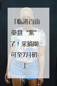 临港百亩桑葚“紫”了！采摘期可至7月初