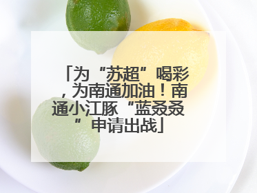 为“苏超”喝彩，为南通加油！南通小江豚“蓝叒叒”申请出战