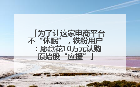 为了让这家电商平台不“休眠”，铁粉用户：愿意花10万元认购原始股“应援”