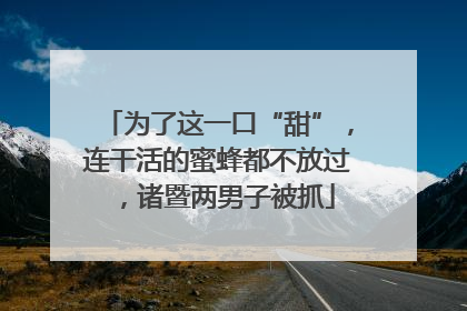 为了这一口“甜”，连干活的蜜蜂都不放过，诸暨两男子被抓