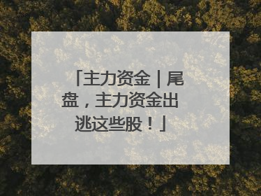 主力资金｜尾盘，主力资金出逃这些股！