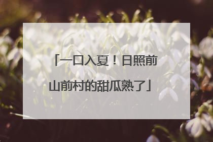 一口入夏！日照前山前村的甜瓜熟了