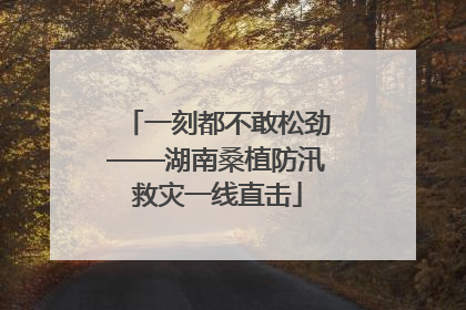 一刻都不敢松劲——湖南桑植防汛救灾一线直击