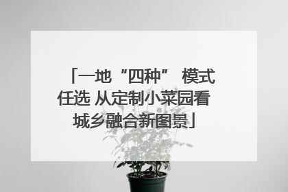 一地“四种” 模式任选 从定制小菜园看城乡融合新图景
