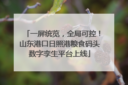 一屏统览，全局可控！山东港口日照港粮食码头数字孪生平台上线