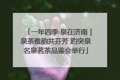 一年四季·泉在济南｜泉茶雅韵共芬芳 趵突泉名泉茗茶品鉴会举行