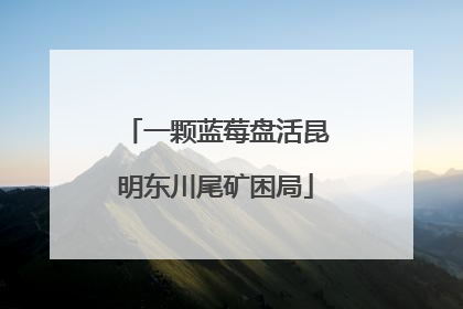 一颗蓝莓盘活昆明东川尾矿困局