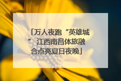 万人夜跑“英雄城” 江西南昌体旅融合点亮夏日夜晚