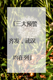 三大预警齐发，武汉均在列