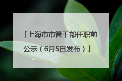 上海市市管干部任职前公示（6月5日发布）