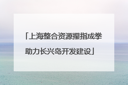 上海整合资源攥指成拳助力长兴岛开发建设