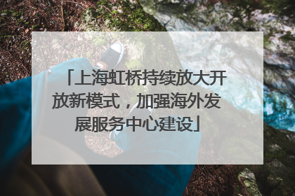 上海虹桥持续放大开放新模式，加强海外发展服务中心建设