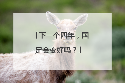 下一个四年，国足会变好吗？