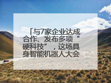 与7家企业达成合作、发布多项“硬科技”，这场具身智能机器人大会蓉城启幕