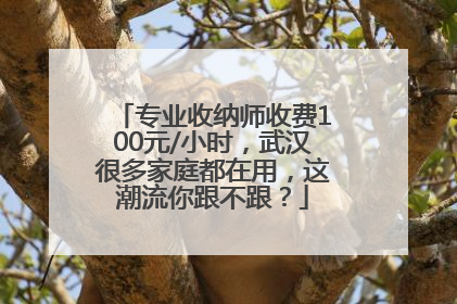 专业收纳师收费100元/小时，武汉很多家庭都在用，这潮流你跟不跟？