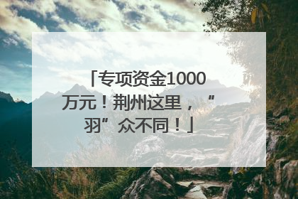 专项资金1000万元！荆州这里，“羽”众不同！