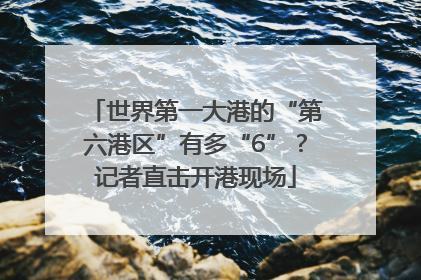 世界第一大港的“第六港区”有多“6”？记者直击开港现场