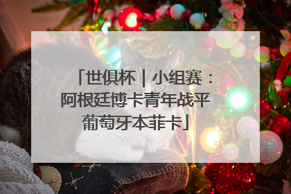 世俱杯｜小组赛：阿根廷博卡青年战平葡萄牙本菲卡
