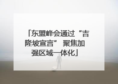 东盟峰会通过“吉隆坡宣言” 聚焦加强区域一体化