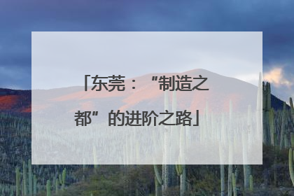 东莞：“制造之都”的进阶之路