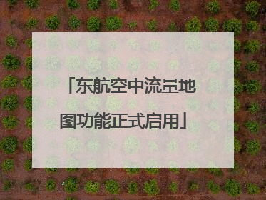 东航空中流量地图功能正式启用