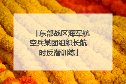 东部战区海军航空兵某团组织长航时反潜训练