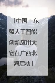 中国—东盟人工智能创新应用大赛在广西北海启动