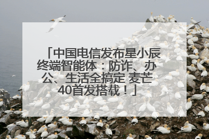 中国电信发布星小辰终端智能体：防诈、办公、生活全搞定 麦芒40首发搭载！