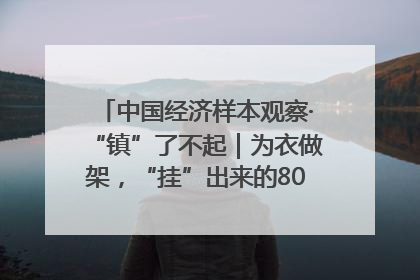 中国经济样本观察·“镇”了不起｜为衣做架，“挂”出来的80亿元“衣架产业”
