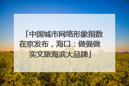 中国城市网络形象指数在京发布，海口：做强做实文旅海滨大品牌